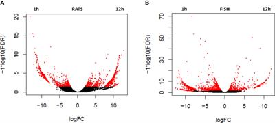 Rat and fish peripheral blood leukocytes respond distinctively to Anisakis pegreffii (Nematoda, Anisakidae) crude extract